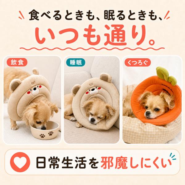 �G���U�x�X�J���[ �� �\�t�g �L �_�炩 ���b�V�� �\�t�g�J���[ ���G���U�x�X�J���[ ���p�G���U�x�X�J���[ ���̃G���U�x�X�J���[ ���p�J���[ ���^�� ���^�� ���i�摜3