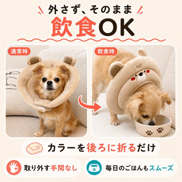 �G���U�x�X�J���[ �� �\�t�g �L �_�炩 ���b�V�� �\�t�g�J���[ ���G���U�x�X�J���[ ���p�G���U�x�X�J���[ ���̃G���U�x�X�J���[ ���p�J���[ ���^�� ���^�� ���i�摜5