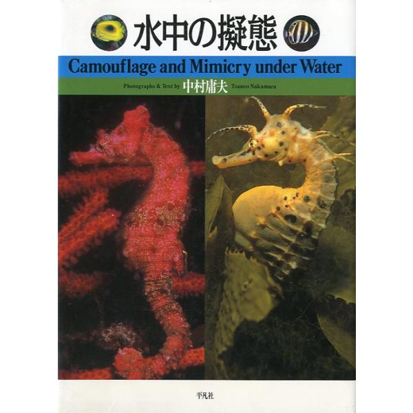 水中の擬態　