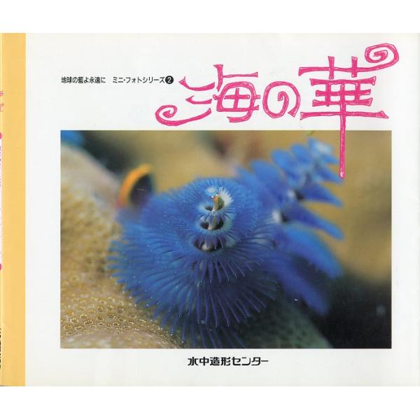地球の藍よ永遠に　ミニ・フォトシリーズ2　海の華