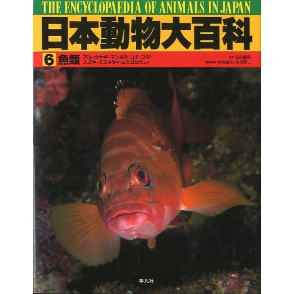 日本動物大百科　第６巻　魚類　