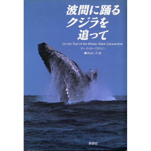 波間に踊るクジラを追って　