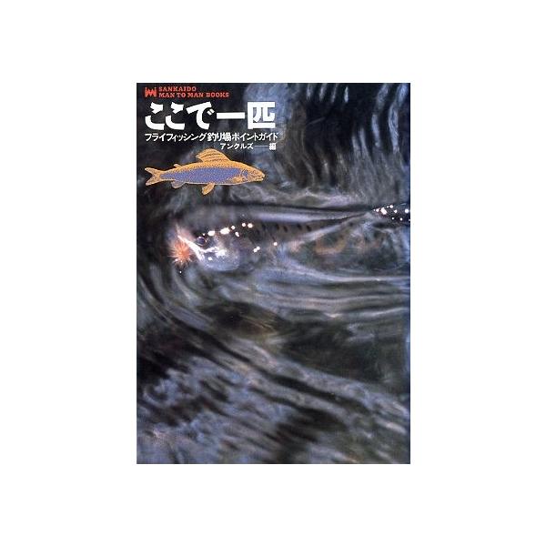 ここで一匹  フライフィッシング釣り場ポイントガイド　（送料無料）