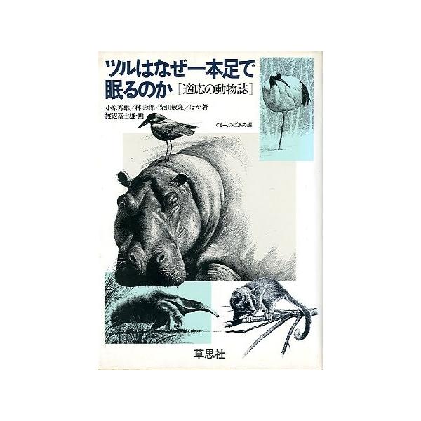 小原秀雄・林壽郎他著１９８４年・草思社サイズ：Ａ５・１９７頁状態：カバースレがあります。お届けは、“クリックポスト（日本郵便）ポスト投函”あるいは”ネコポス（ヤマト運輸）ポスト投函”にて発送させていただきます。発送方法のご指定はできません。...
