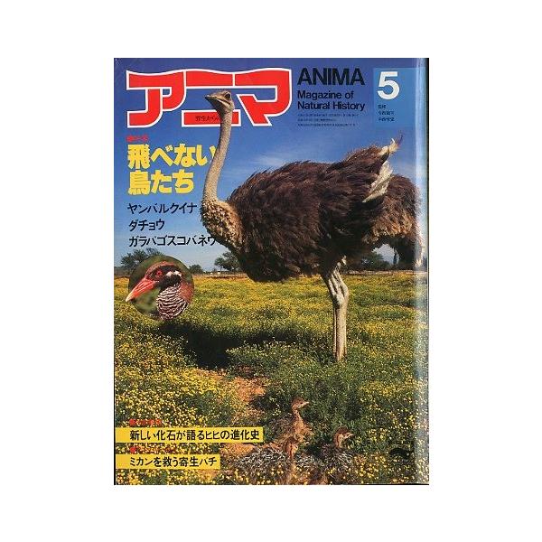 監修：今西錦司・中西悟堂特集：飛べない鳥たち　　ヤンバルクイナ・ダチョウ・ガラパゴスコバネワ１９８２年４月・平凡社Ａ４・１０４頁状態：表紙スレ、折れ跡あります。この書籍の価格には、クロネコＤＭ便の送料が含まれています。（ご指定日お届けはでき...