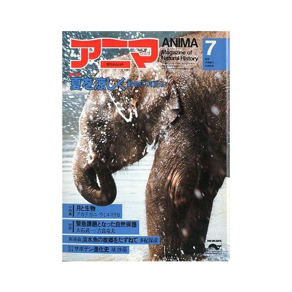 監修：今西錦司・中西悟堂特集：夏を涼しく　動物の消夏法１９８２年６月・平凡社Ａ４・１０４頁状態：表紙スレ、折れ跡あります。この書籍の価格には、クロネコＤＭ便の送料が含まれています。（ご指定日お届けはできません）指定日お届けをご希望の場合は、...