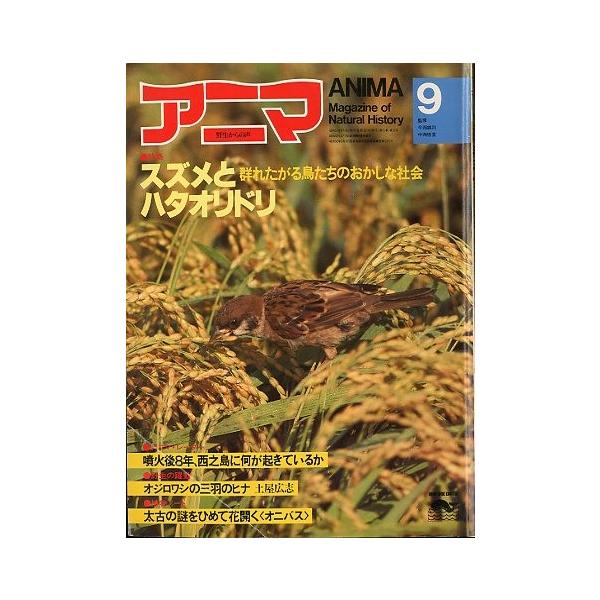 監修：今西錦司・中西悟堂特集：スズメとハタオドリ　　　群れたがる鳥たちのおかしな社会１９８２年８月・平凡社Ａ４・１０４頁状態：表紙スレ、折れ跡あります。この書籍の価格には、クロネコＤＭ便の送料が含まれています。（ご指定日お届けはできません）...