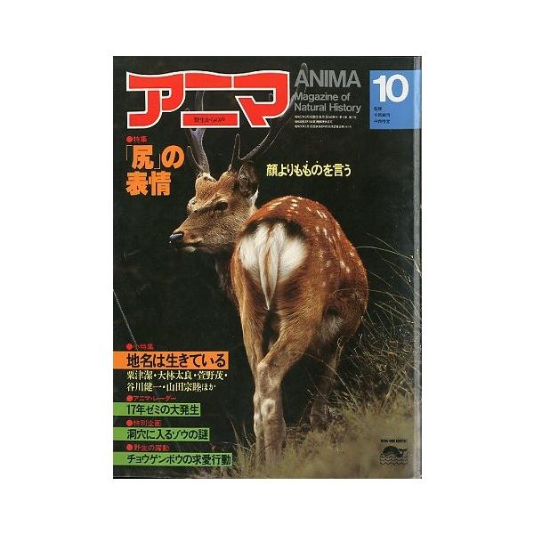 監修：今西錦司・中西悟堂特集：「尻」の表情　顔よりもものを言う１９８２年９月・平凡社Ａ４・１０４頁状態：表紙スレ、折れ跡あります。この書籍の価格には、クロネコＤＭ便の送料が含まれています。（ご指定日お届けはできません）指定日お届けをご希望の...