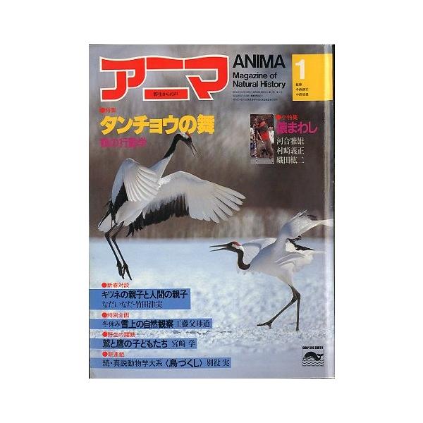 監修：今西錦司・中西悟堂特集：タンチョウの舞　鶴の行動学１９８２年１２月・平凡社Ａ４・１０３頁状態：表紙スレ、折れ跡があります。この書籍の価格には、クロネコＤＭ便の送料が含まれています。（ご指定日お届けはできません）指定日お届けをご希望の場...