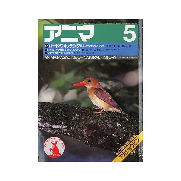 監修：今西錦司・中西悟堂特集：バードウオッチング　野鳥のサンクチュアリを歩く１９８３年４月・平凡社Ａ４・１１９頁状態：表紙スレ、折れ跡があります。　　　特別付録ポスター付き。この書籍の価格には、クロネコＤＭ便の送料が含まれています。（ご指定...