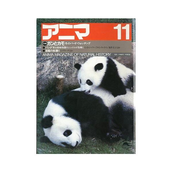 監修：今西錦司・中西悟堂特集：ガンとカモ　冬のバード・ウオッチング　　　海鷲の魚獲り１９８３年１０月・平凡社Ａ４・１１９頁状態：表紙スレがあります。この書籍の価格には、クロネコＤＭ便の送料が含まれています。（ご指定日お届けはできません）指定...