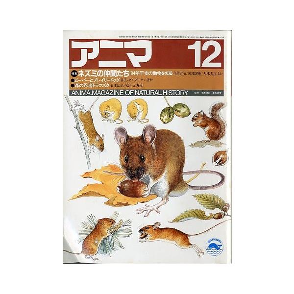 監修：今西錦司・中西悟堂特集：ネスミの仲間たち　　　’８４年干支の動物を知る　　　ビーバーとプレイリードッグ１９８３年１１月・平凡社Ａ４・１１１頁状態：表紙スレがあります。この書籍の価格には、クロネコＤＭ便の送料が含まれています。（ご指定日...