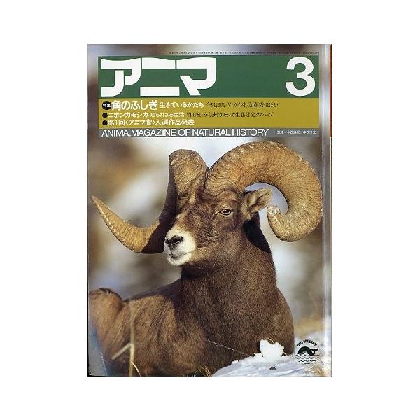 監修：今西錦司・中西悟堂特集：角のふしぎ　生きているかたちニホンカモシカ　知られざる生活１９８４年２月・平凡社Ａ４・１０３頁状態：表紙スレがあります。この書籍の価格には、クロネコＤＭ便の送料が含まれています。（ご指定日お届けはできません）指...