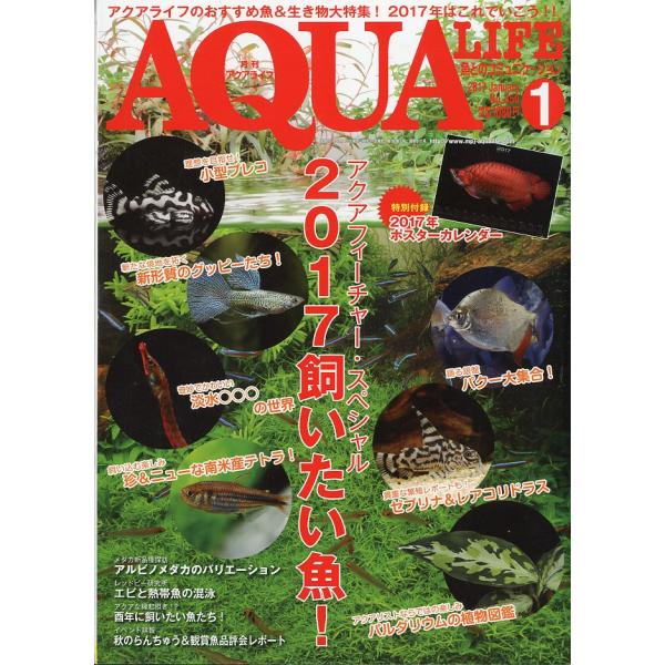 アクアライフ　　２０１７年１月号　通巻５１７号　（ポスターカレンダー付）