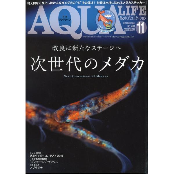 アクアライフ　　２０１９年１１月号　通巻５51号　