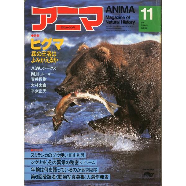 野生からの声　アニマ　　1981年11月号・Ｎｏ．104