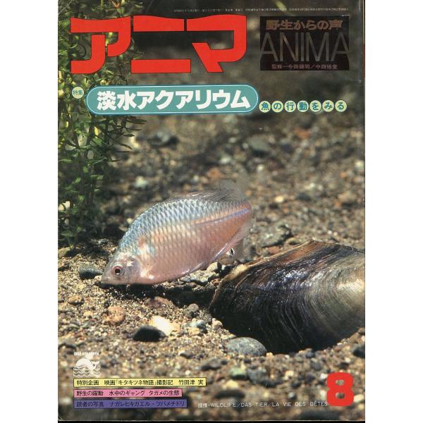 野生からの声　アニマ　　1978年8月号・Ｎｏ．65