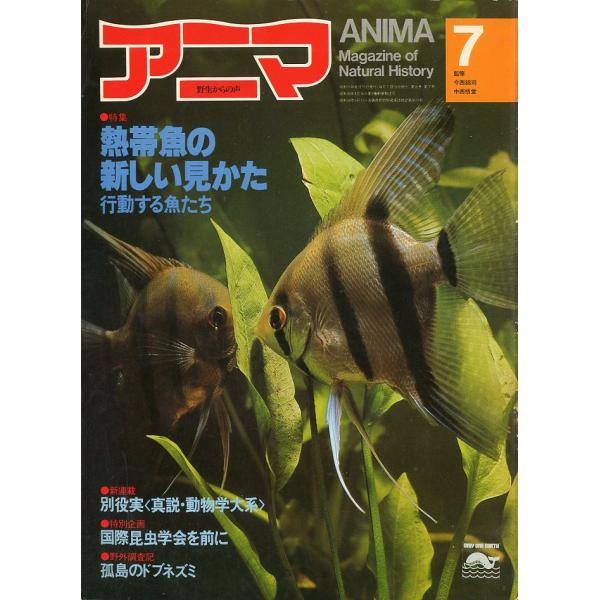 野生からの声　アニマ　　1980年7月号・Ｎｏ．88