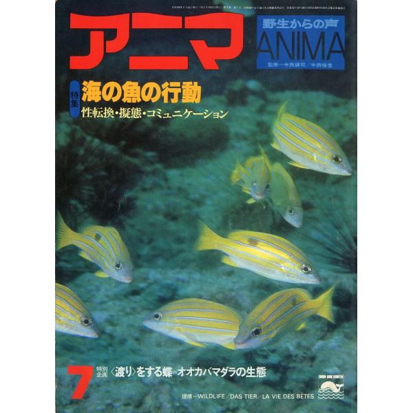 アニマ＜ＡＮＩＭＡ＞　１９７９年７月　　Ｎｏ．７６　−海の魚の行動ー