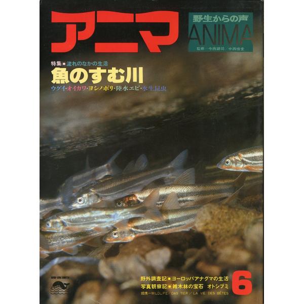 アニマ＜ＡＮＩＭＡ＞　１９７７年６月　　Ｎｏ．５１　−魚のすむ川ー
