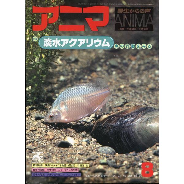 アニマ＜ＡＮＩＭＡ＞　１９７８年８月　　Ｎｏ．６５　−淡水アクアリウムー