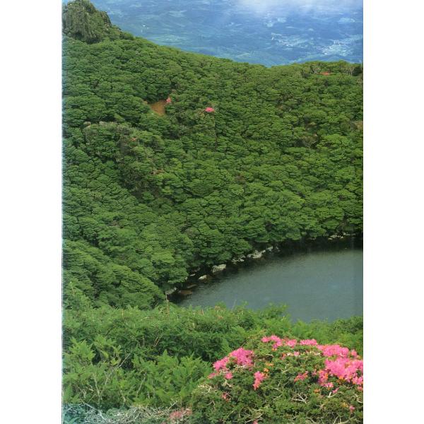 １９８７年・ぎょうせいＢ５・１７５頁状態：カバースレがあります。お届けは、“ネコポス（ヤマト運輸）ポスト投函””クリックポスト（日本郵便）等にて発送させていただきます。発送方法の指定はできません。予めご了承ください。日時の指定がある場合は、...