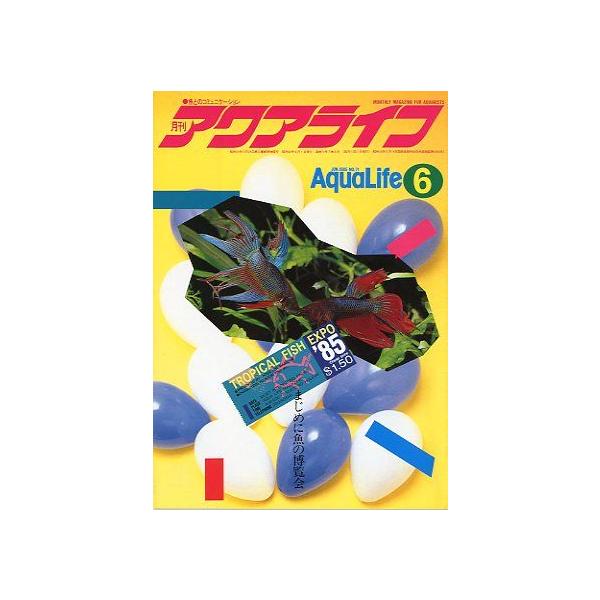 １９８５年６月号・マリン企画　　通巻７１号まじめに魚の博覧会状態：スレ、汚れがあります。お届けは、書籍のサイズ、重量により発送方法が異なります。当店よりお送りする”承諾メール”にて発送方法をご連絡いたします。なお発送方法のご指定はできません...