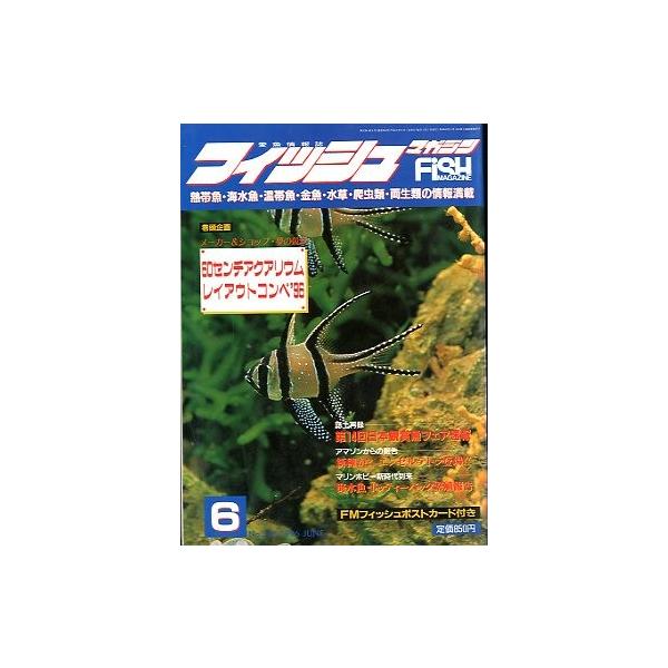 フィッシュマガジン　１９９６年６月号　＜送料無料＞