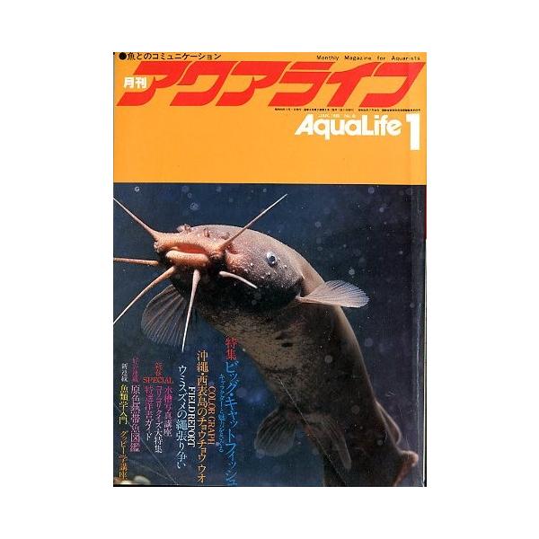 月刊アクアライフ」創刊号から41冊 希少 昭和版 【公式通販】