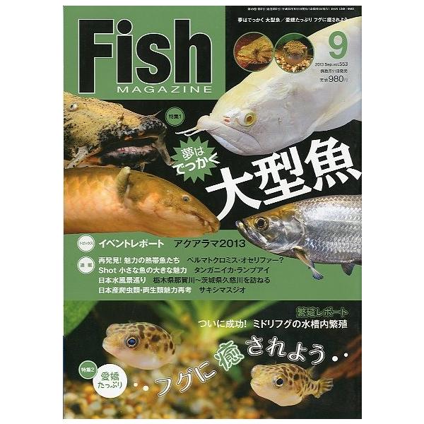 フィッシュマガジン ２０１３年９月号 送料無料 Z9059 さかなの本屋さん ヤフー店 通販 Yahoo ショッピング