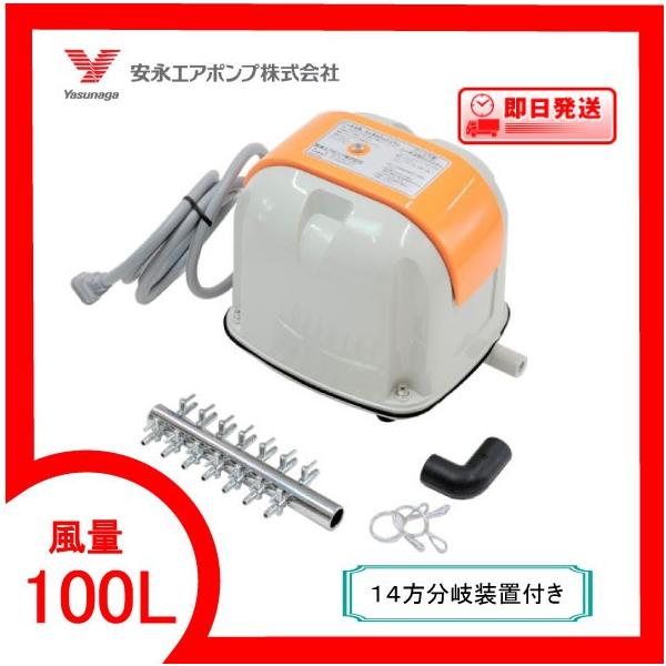AP-100FiP4򑕒utj GA[|v `o|POOe iGA|v  PNۏؕt@