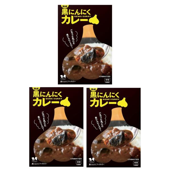 自然共生 熟成黒にんにくカレー 180g×3箱 国産 レトルト