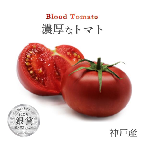 【年中お届け】日本野菜ソムリエ協会野菜サミット銀賞 フルーツトマト 懐味とまと【Blood Tomato】箱入り（約7〜9個）