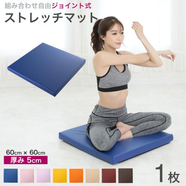 トレーニング用マット50㎝×50㎝×2㎝　４０枚 purerise_ai600391-z-