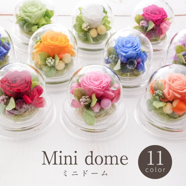 イヴの贈り物 クリスマスプレゼント（プリザーブドフラワー イヴの贈り物 クリスマスプレゼント（プリザーブドフラワー