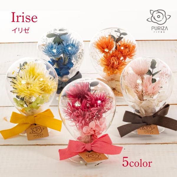 風船型の可愛らしいボトル(ガラス)アレンジです。鮮やかな5色のドライフラワーのちょっと大人な色合いがおしゃれ。※Irise(イリゼ)：虹色の◆おおよその大きさ：約　高さ：10.5cm×Φ7.5cm◆花材：＜プリザーブドフラワー＞ユーカリ・あ...