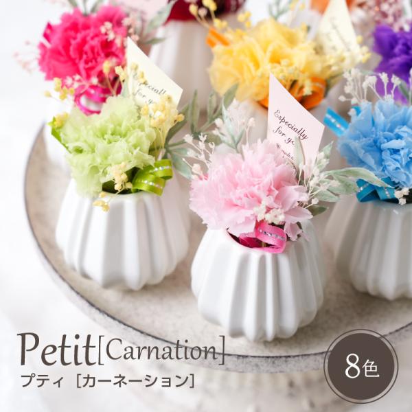 シンプルな花器にカーネーションをメインにアレンジしました。どこにでも飾れるかわいらしいサイズ感。◆サイズ：　約　高さ9.5cm×幅5.5cm×奥行5.5cm◆花材：＜プリザーブドフラワー＞カーネーション＜ドライフラワー＞モリソニア＜アーティ...