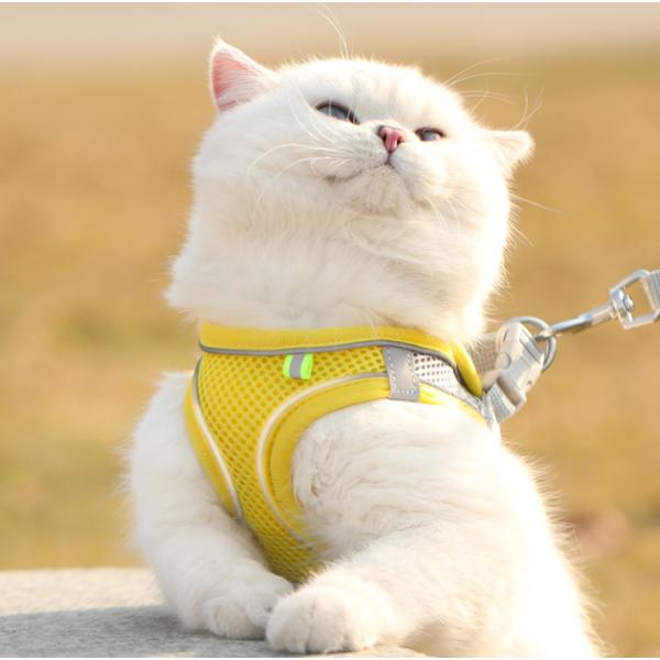 ハーネスリード 胴輪 ベスト型 通気性抜群 ペット用 胸当てリード 小型犬 猫用 お散歩用品