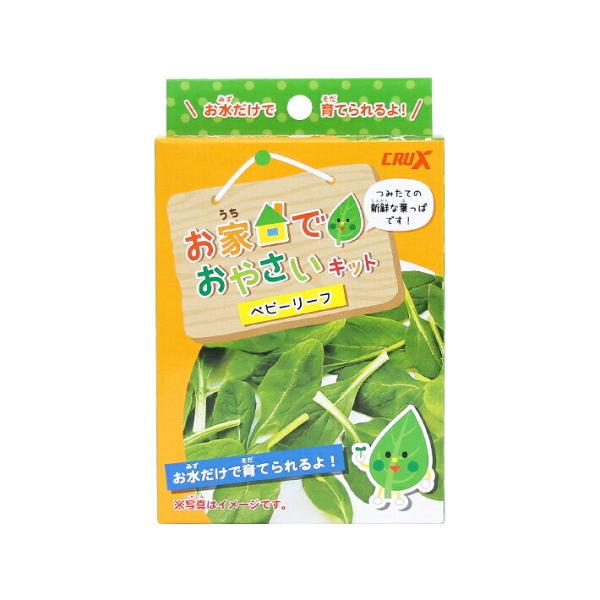 おうちでおやさいが育てられるキット！お水だけで育てられるのでとってもかんたん！おうち時間を楽しく過ごそう♪【セット内容】・スプレーボトル×1本・ベビーリーフのたね×1袋【仕様】パッケージサイズ：約W90×H145×D40mm対象年齢：6歳以...