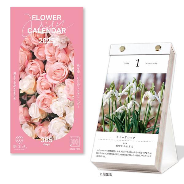 putilulu_4985849116449-nkc