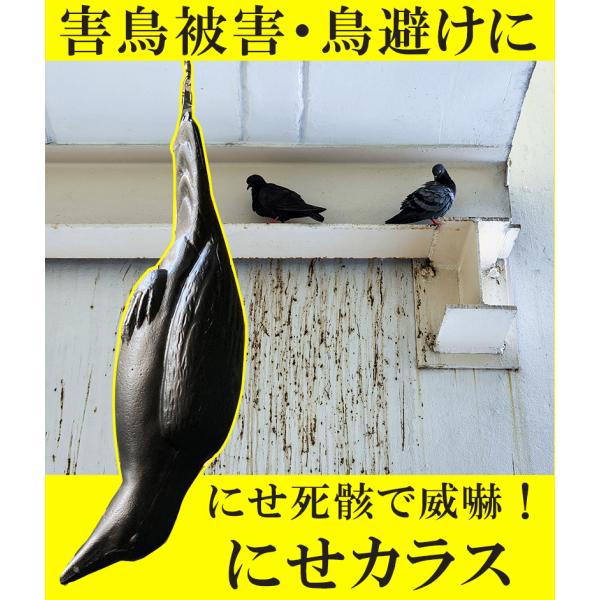 COMPAL コンパル 防鳥にせカラス