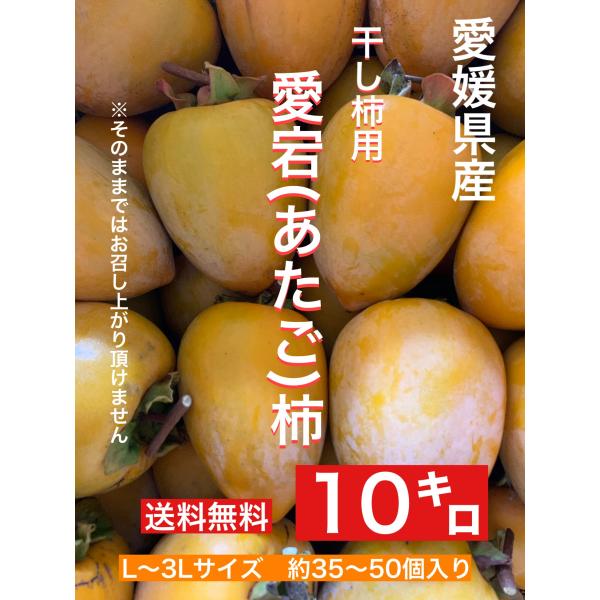 激安雑貨屋さん専用愛媛県産！愛宕柿約10Kg渋柿不揃【干し柿用】 愛媛県産 愛宕（あたご）柿 10キロ 訳あり・ご家庭用 2L〜4Lサイズ