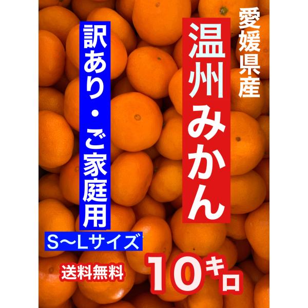 キーワード：限定商品　愛媛県産温州みかん 10キロ　疲労回復　風邪予防 ・ビタミン補給　訳あり　送料無料　S〜Lサイズ　温州早生・産地：愛媛県・内容量：10キロ・商品形態：常温・賞味期限：お早めにお召し上がりください・保存方法：直射日光、高...