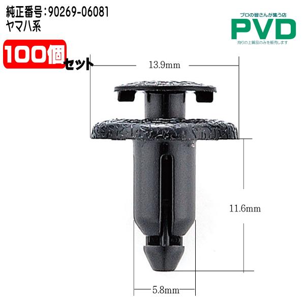 pvd1_ncsw003100-2