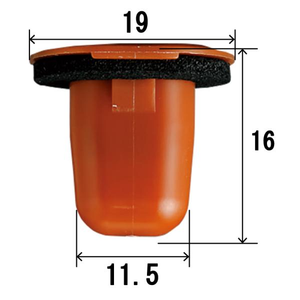 pvd1_nn-272