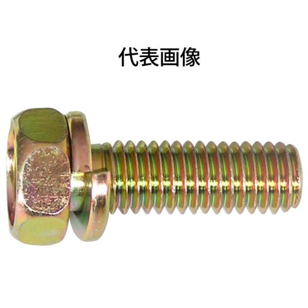 プラス（＋）アプセット座金組込み＜セムス＞ボルト B10 M6mm×首下35mm 