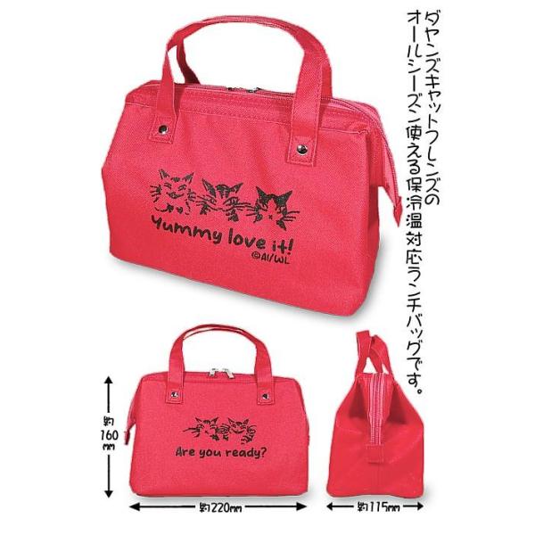 わちふぃーるどダヤン・ランチワイヤーバッグ　ＣＣ・Ｒ
