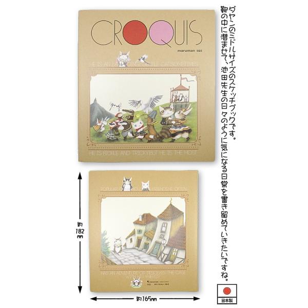 わちふぃーるど・ダヤン・クロッキーＳＱ　うんのいいねこ