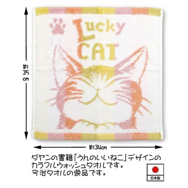 ダヤンGoods・縞立てＷ／Ｔ　うんのいいねこ【完売しだい終了】