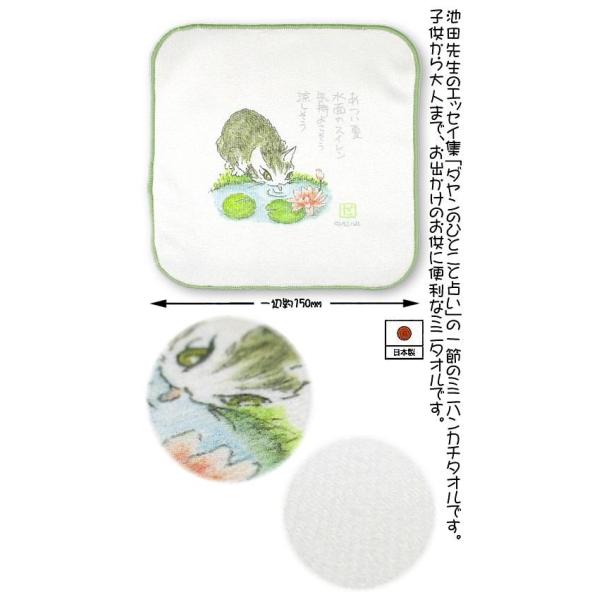 わちふぃーるどダヤン・ちょこっとタオル　スイレン【完売しだい終了】